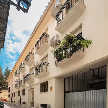 Apartment El Rincon Del Realejo - Centro *